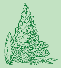 http://www.pepilaurains.com/